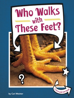 Who Walks With These Feet? - ebook